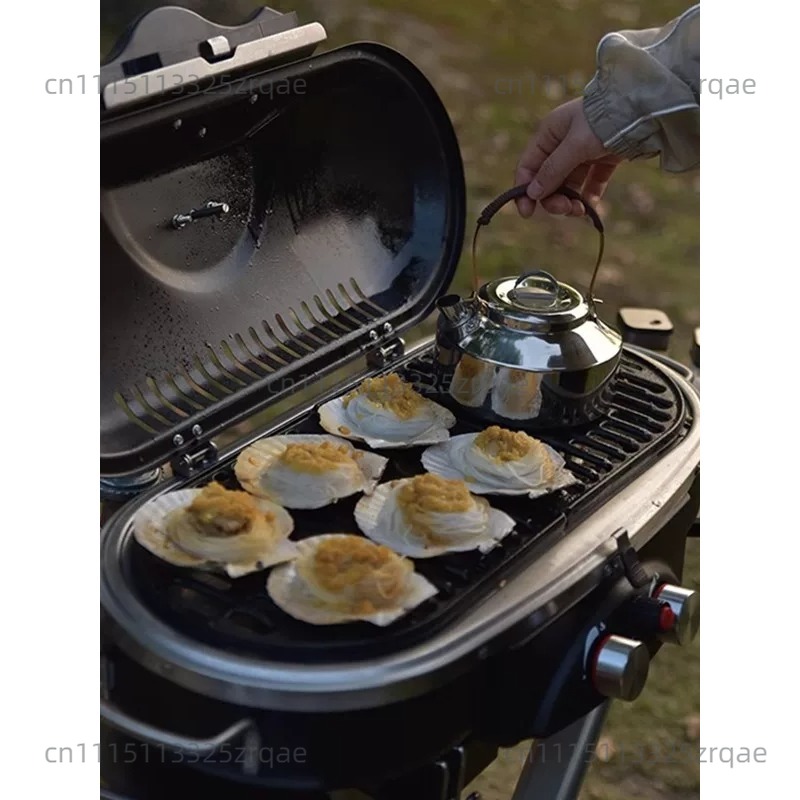 Draagbare gasfornuis voor binn - Camping Cooking Range recensie en prijs